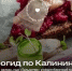 Вся балтийская кухня – на экране смартфона - Kaskad.TV