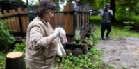 Дитя заката в родном оазисе: фламинго, гуси и пеликаны вернулись в пруды Калининградского зоопарка (фоторепортаж) - Klops.Ru