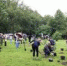 В Калининграде берега Летнего озера озеленили 150 саженцами сирени (фото) - Klops.Ru