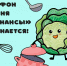 Научиться вкусно готовить и грамотно распоряжаться деньгами приглашают калининградцев - Финансовая грамотность населения
