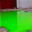 Фото: greenfront.su - НИА-Калининград