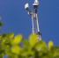 В 17 поселках построят базовые станции 4G до конца этого года - Калининградская ГТРК