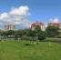 На Нижнем озере в Калининграде покажут перформанс-променад - Kaliningrad.Ru