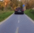 Калининградские полицейские нашли героя видео, на котором водитель иномарки гонял по велодорожке - Kaskad.TV