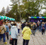 В Зеленоградске опубликовали программу перенесённого Дня города - Kaliningrad.Ru