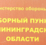 Первые 43 новобранца в рамках осеннего призыва сегодня отправились в части и соединения Балтийского флота - Калининградская ГТРК