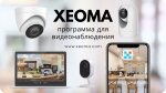 Скрытые возможности видеонаблюдения: как обычные камеры решают необычные задачи