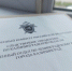 В Калининграде генеральный директор местной транспортной компании обвиняется во взяточничестве в особо крупном размере - Следственный комитет