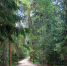 На Куршской косе начали строить велодорожку от КПП до Зеленоградска - Kaliningrad.Ru