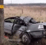 В Багратионовском районе легковушка, обгоняя другое авто, врезалась в машину и дерево - Kaskad.TV