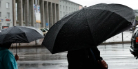 Погода в Калининграде 19 ноября - NewKaliningrad.Ru
