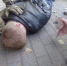 В Калининграде борец с мошенниками из полиции задержан за мошенничество - ИА Русский Запад