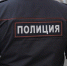 Жительница Гусева дважды избила полицейских - Янтарный Край