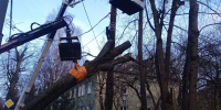 «Обошлось без человеческих жертв»: власти обновили данные о последствиях шторма (фото) - NewKaliningrad.Ru