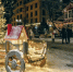 Спрос на поездки в малые города Калининградской области на новогодние праздники вырос на 63% - Kaliningrad.Ru