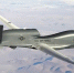 Фото: сайт Минобороны США - НИА-Калининград