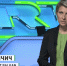 Телеканал RT Balkan начал круглосуточное вещание  на сербском языке из Белграда - Янтарный Край