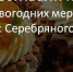 Зимние фестивали и ярмарки: обзор новогодних мероприятий, ярмарок и фестивалей, проходящих в регионах Серебряного ожерелья - Информационный центр туризма