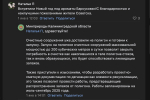 барсуковка.jpg