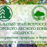 О проведении регионального этапа Всероссийского конкурса «Подрост» - Рослесозащита Калининградской области