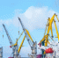 В 2024 году Калининградский морской порт увеличил перевалку на 15% - Kaliningrad.Ru