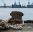 На калининградской морской линии создают единую диспетчерскую систему - Kaliningrad.Ru