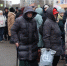 Шлыков: перевыпуск льготных проездных карт можно сделать лишь в одном месте (фото) - NewKaliningrad.Ru