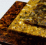 Фото: ambercombine.ru - НИА-Калининград