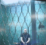 Адвокат Мельникова возмутился допуском в суд журналистов с видеосъёмкой - ИА Русский Запад