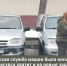 Стоп кадр видео Управления Россельхознадзора по Калининградской области - НИА-Калининград