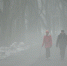 DSC_9570-2.jpg - Страна Калининград