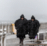 Ермак: туристы отменяют брони в отелях региона, посмотрев прогноз погоды - NewKaliningrad.Ru