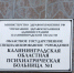 В Калининградской области стали чаще находить психические болезни - ИА Русский Запад