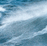 7d6bda2dc745a08bc97cf411290c6c0b.jpg - NewKaliningrad.Ru