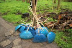 20 марта в Калининграде начнется весенний месячник благоустройства