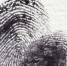 fingerprint-255904_1280 - Янтарный Край