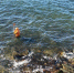 Промер глубин Балтийского моря у стен Западного форта 2.jpg - ИА Русский Запад