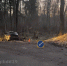 Под Светлым «Опель» врезался в дерево - Комсомольская правда