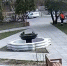 Жительница Светлогорска выкапывала крокусы с городских клумб и убежала от коммунальщиков - Комсомольская правда