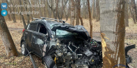 photo_2025-03-31_09-59-17 - KaliningradNews.Ru