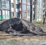 В Пионерском неизвестные стащили материал, привезенный для обустройства городской дороги - Kaskad.TV