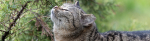 IMG_4902-CR3.jpg