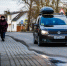 Власти ищут подрядчика для ремонта трассы в Лесном на Куршской косе - Kaliningrad.Ru