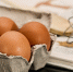 egg-944495_960_720 - KaliningradToday.Ru