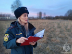 Поля под контролем