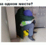 место работы сайт опрос.jpg - ИА Русский Запад
