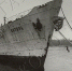 Витязь.jpg - NewKaliningrad.Ru
