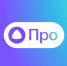 Для чего нужна опция Алиса Про? - alice.yandex.ru