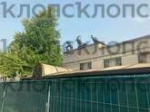 «Я надеюсь, что это не будет неприятным сюрпризом»: в кафе «Солянка» у Калининградского зоопарка начался ремонт (фото)