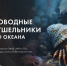 Лекция «Глубоководные раки-отшельники Мирового океана» - Калининградское отделение РГО